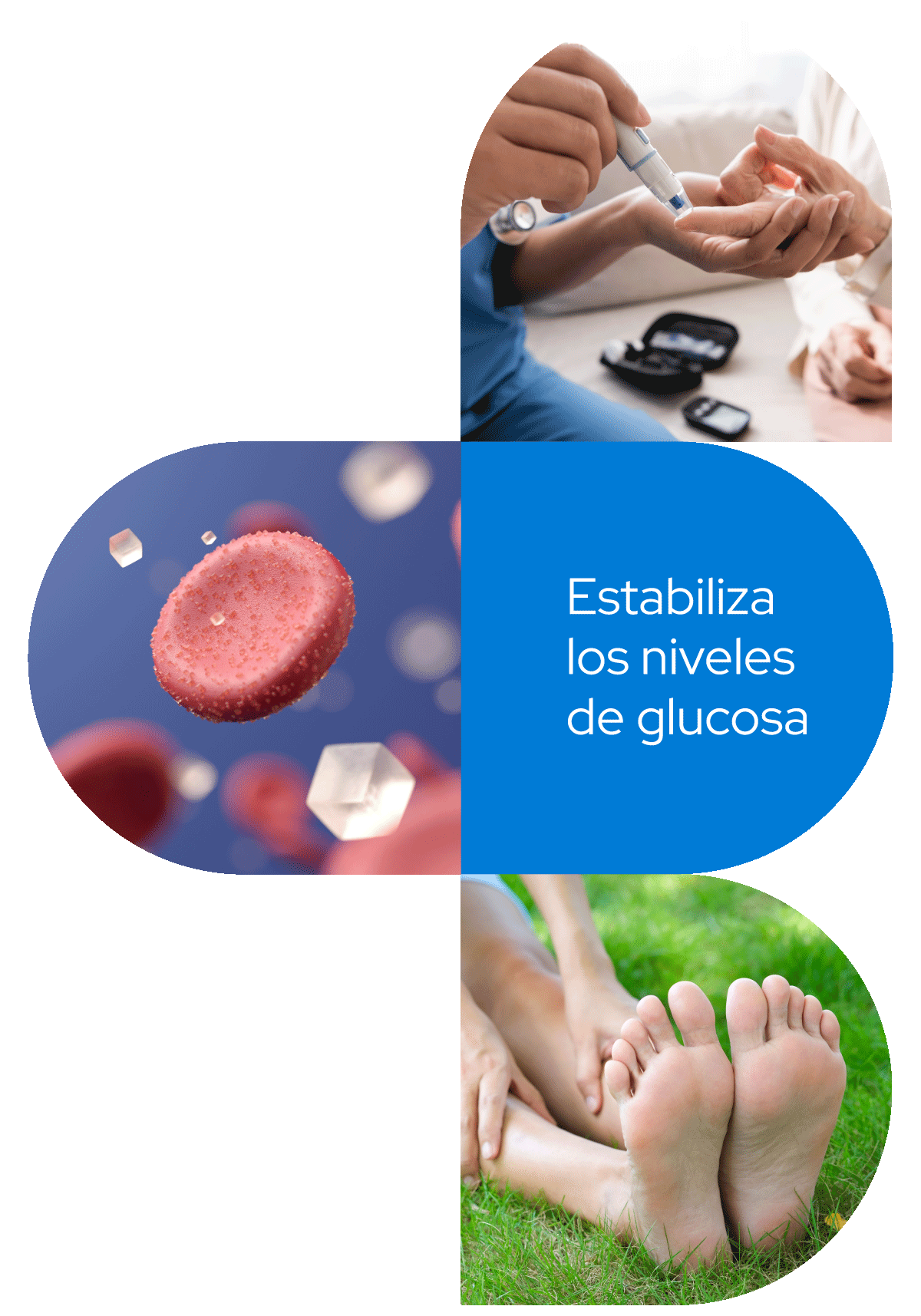 Diabetes_02