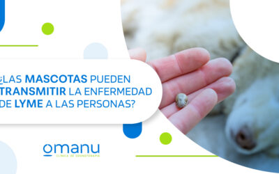 ¿Las mascotas pueden transmitir la enfermedad de Lyme a las personas?
