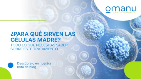 ¿Para qué sirven las células madre y cuál es el precio del tratamiento?