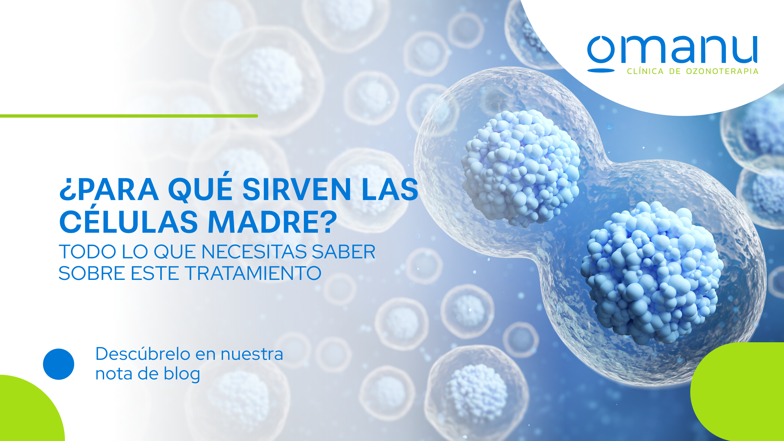 Clínica Omanu: ¿Para qué sirven las células madre? Todo lo que necesitas saber sobre este tratamiento.